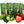 Load image into Gallery viewer, NEW Formulation NEW Flavor 70 Orally Disintegrating Tablets